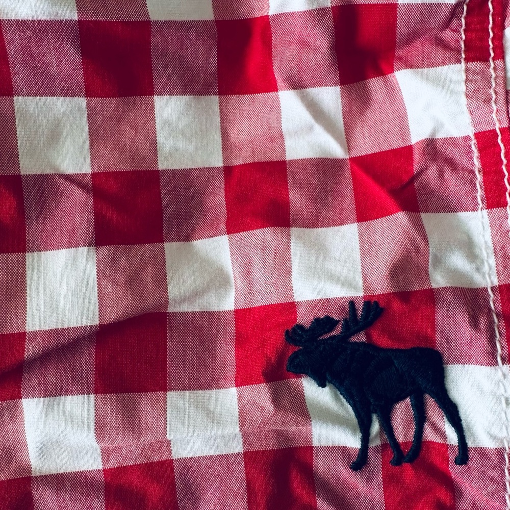 Preowned Abercrombie & Fitch Men’s Swimming Red White Plaid Logo Sz Large - Picture 3 of 4